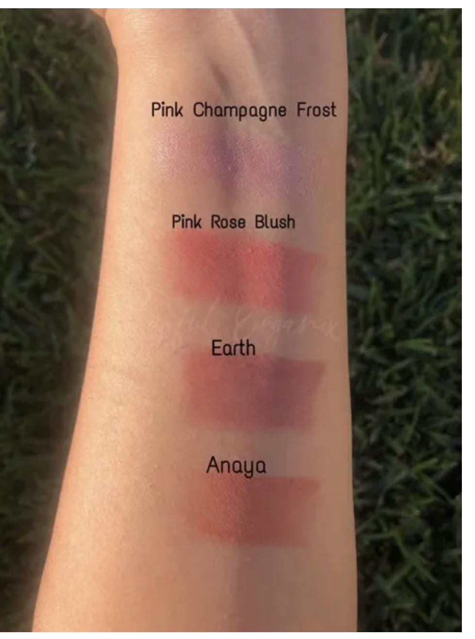 Different Shades of Castor oil infused Cheek Tints