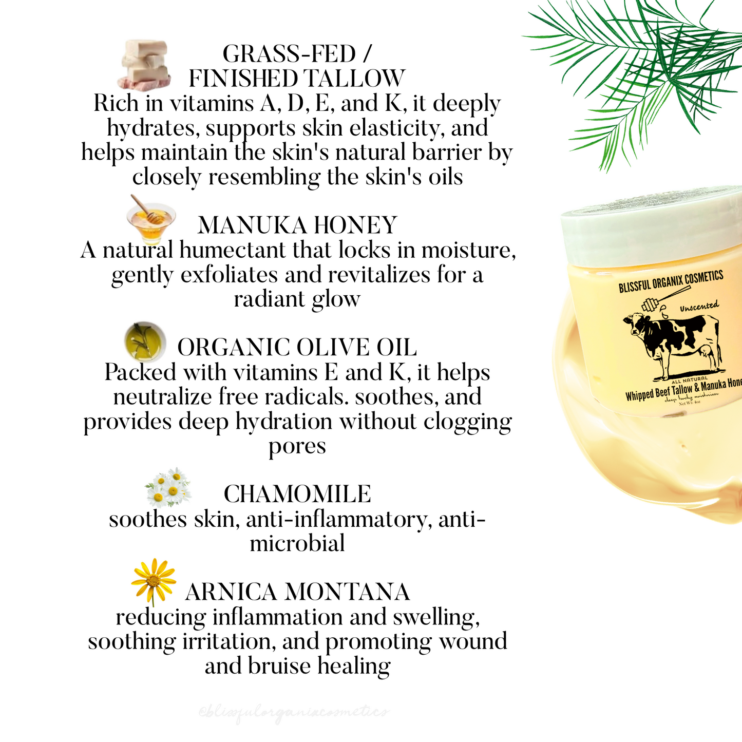 Organic Whipped Grass-Fed Beef Tallow & Manuka Honey Moisturizer Cream 4 oz