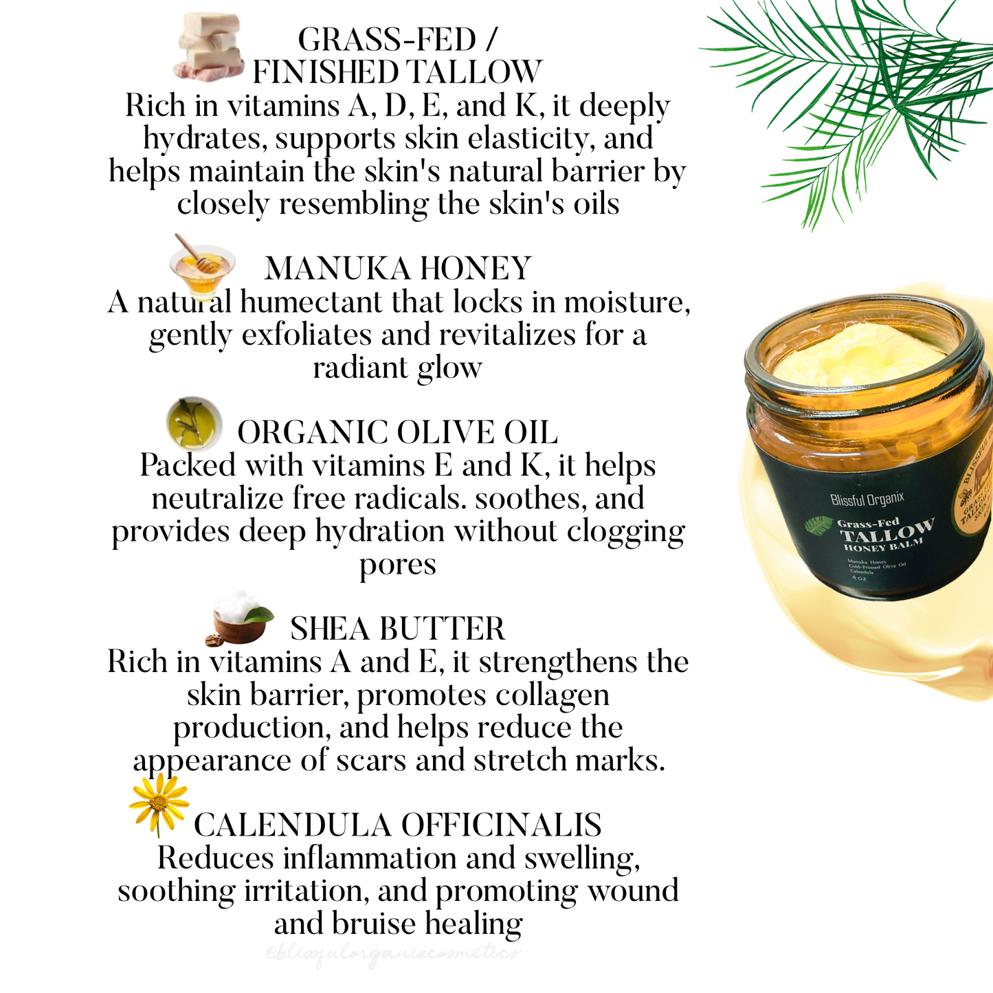 Organic Whipped Grass-Fed Beef Tallow & Manuka Honey Moisturizer Cream 4 oz